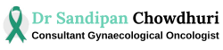 footer_logo